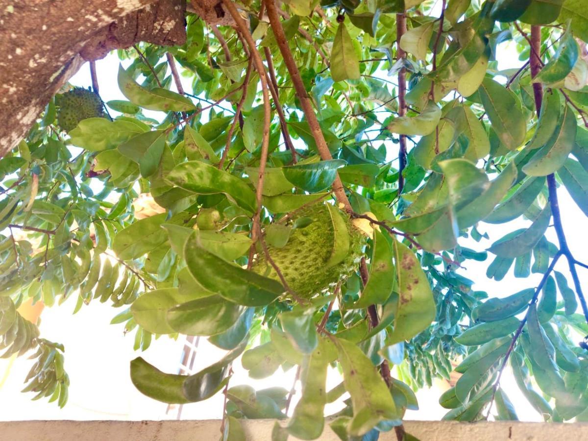 塞古罗港Branca Tropical Brasil Residencial- Taperapuan别墅 外观 照片