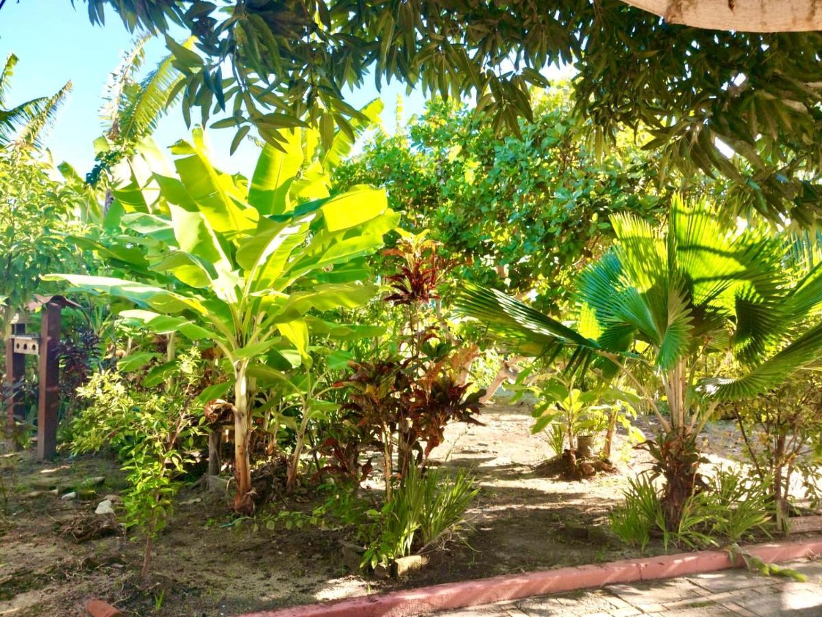 塞古罗港Branca Tropical Brasil Residencial- Taperapuan别墅 外观 照片