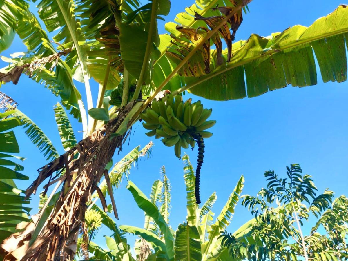 塞古罗港Branca Tropical Brasil Residencial- Taperapuan别墅 外观 照片
