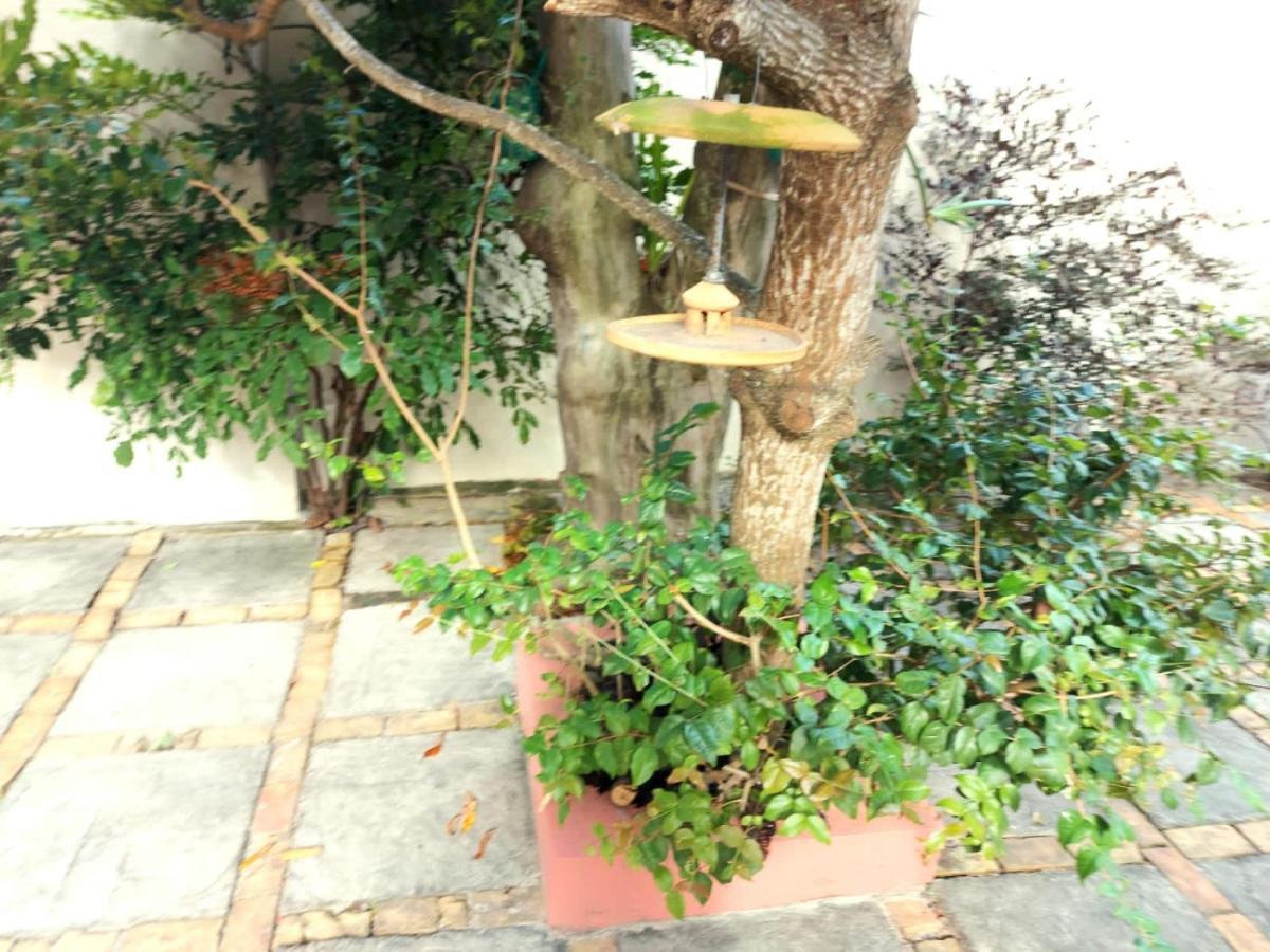 塞古罗港Branca Tropical Brasil Residencial- Taperapuan别墅 外观 照片